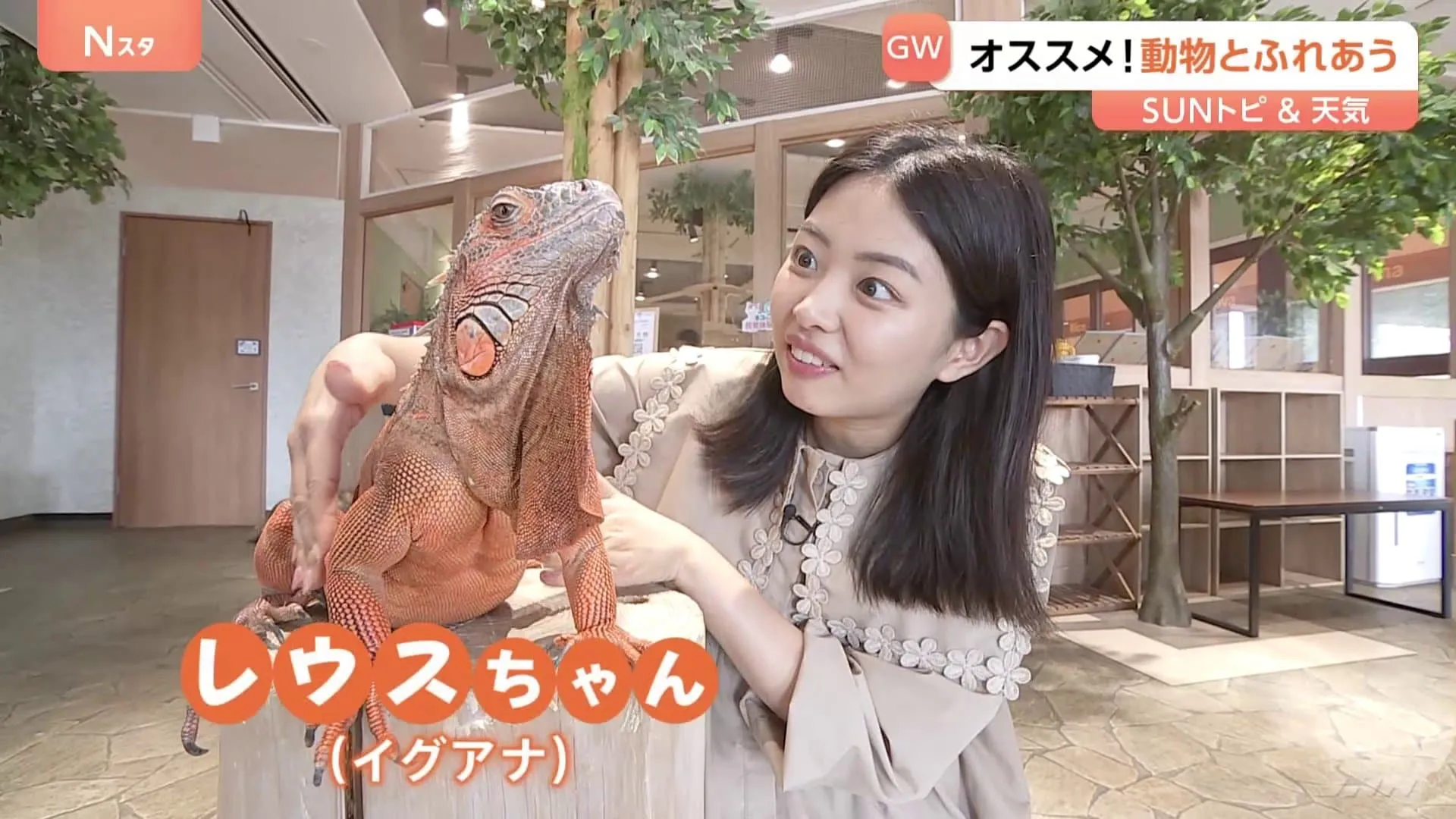日本初の“昼夜交代制” 東京・お台場の「動物たちが暮らす森」とは？【SUNトピ】