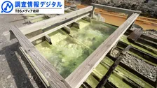 農業高校の生徒が「湯の花」から農薬や土壌改良剤の代替品を開発 ＜シリーズSDGsの実践者たち＞【調査情報デジタル】