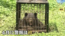 自衛隊員や警察官もクマに襲われ…春グマが異例の早さで出没！青森も岩手も…東北各地でクマ出没警報が過去最速で発表