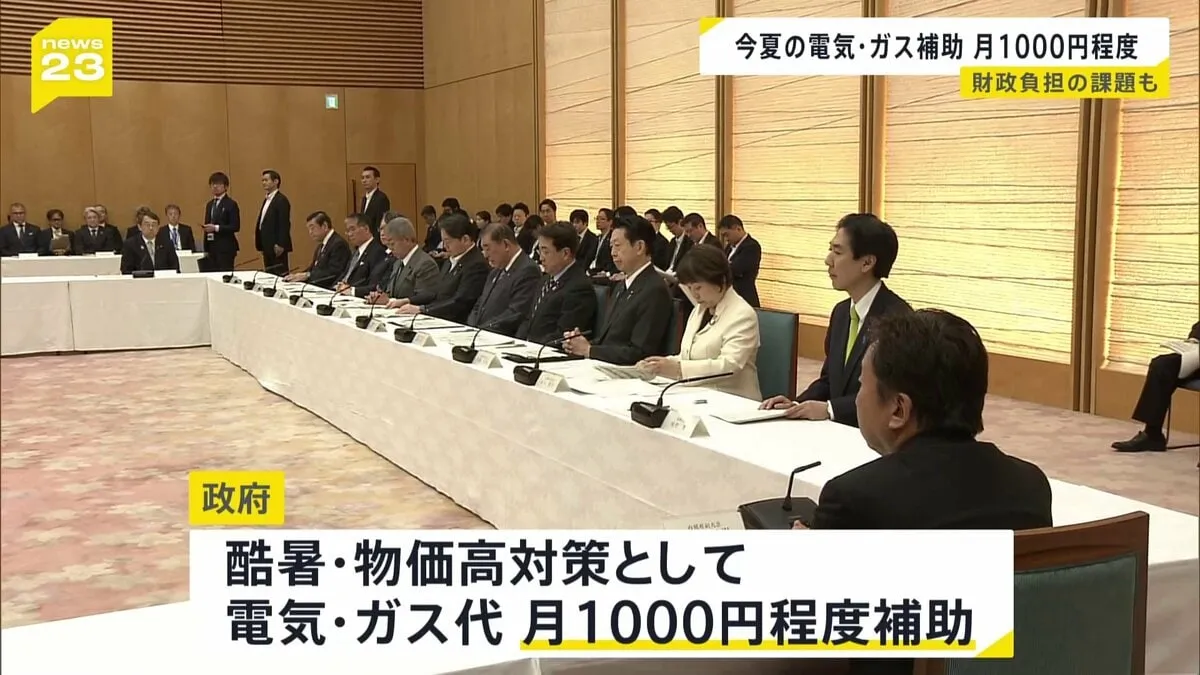政府が電気・ガス代を月1000円程度補助　酷暑や物価高への支援策