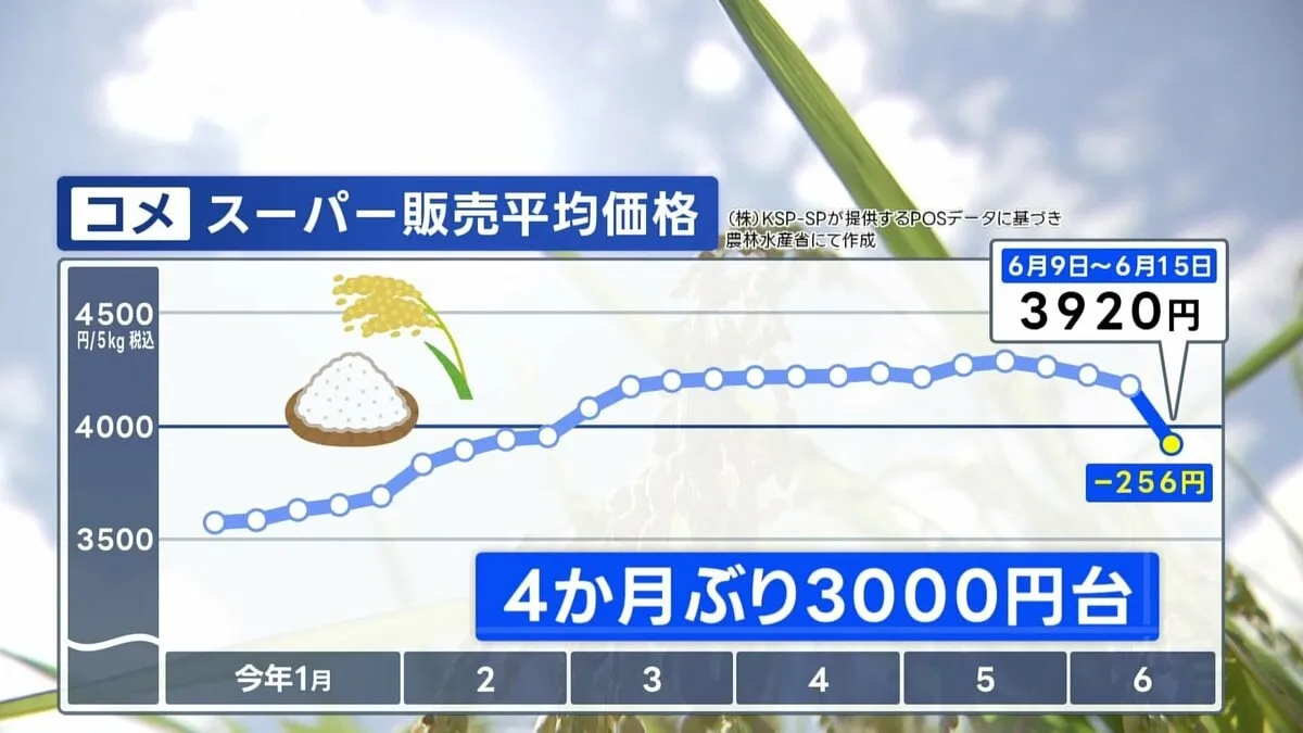 コメ平均価格4か月ぶりに3000円台に　5キロ3920円　前週より256円値下がり