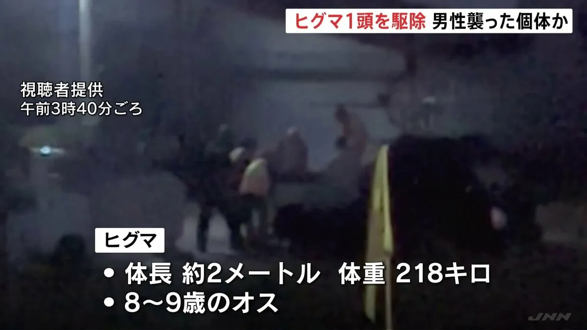 体長約2メートル・体重218キロのヒグマ1頭駆除　男性襲った個体か確認へ