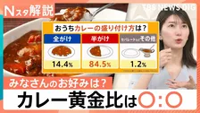 “ライスマネジメント”しやすい黄金比は1:2！　ジメジメ季節をスパイスで乗り切れ！“カレー商戦”本格化【Nスタ解説】