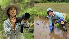 【 磯野貴理子 】「田植えしました」田植機を駆り「隅っこは手植えで」　先日撮影したカイツブリは「雛が2羽」　フォロワー「美味しいお米が楽しみ」