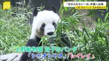 「忘れられない一日」上野・双子パンダ日本最後の日　“新たなパンダの貸与”は見通し立たず…中国「パンダを見に来ることを歓迎」【news23】