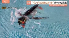 「ペンギンロボット」が新たな看板に？パンダがいなくなったアドベンチャーワールドが仕掛ける“意外”なもの