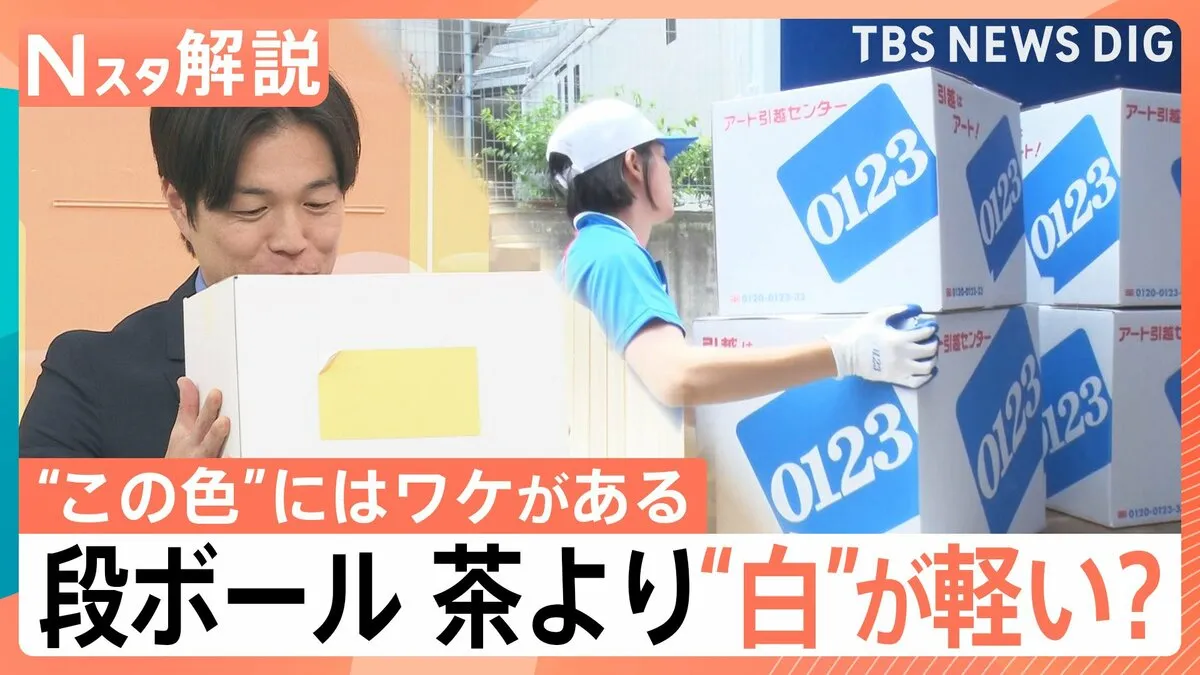 その「色」にはワケがある！意外に知らない“色のワケ” を徹底調査【Nスタ解説】