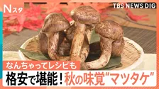 最大10分の1の格安ブータン産に150円ご飯も！高級マツタケを手軽＆安く堪能する激ウマ技【Nスタ解説】