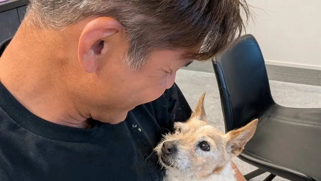 【照英】19歳の愛犬を「ゆっくりゆっくりマッサージ」見つめ合う様子にフォロワー感銘「その目に力をもらいます」