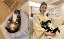 【 藤あや子 】「あれから2年」「他の臓器への転移もなく」　子宮体がんの手術を乗り越えて「この日を迎えられたことは決して当たり前ではない」感謝と決意新た