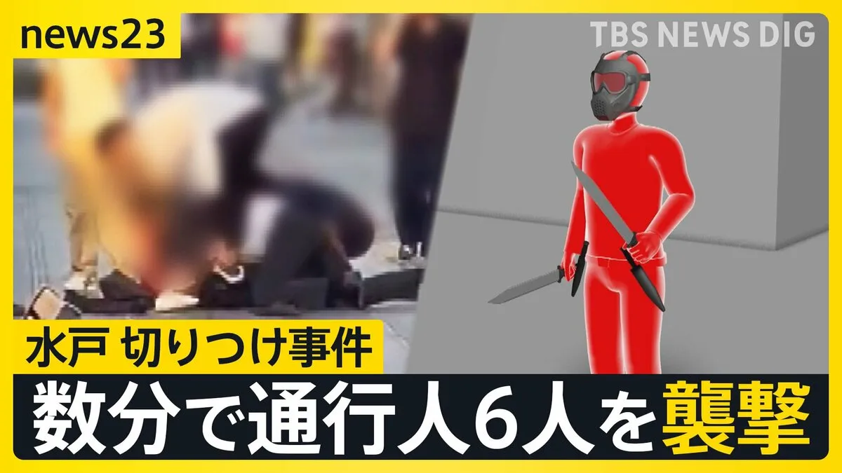 逮捕の男「止めに来た人を切りつけた」両手に刃渡り50センチの刃物・黒いマスク姿で通行人6人を数分で襲撃　茨城・水戸市の切りつけ事件【news23】