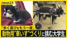 「歩く喜びをもう一度」動物用の“車いす”づくりに挑む大学生　オリジナルパーツで試行錯誤重ね製作「作っては改良」【news23】