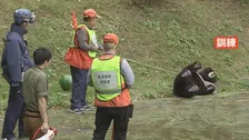 市街地にクマが出没したら…東京都が「緊急銃猟」想定した初の実地訓練実施