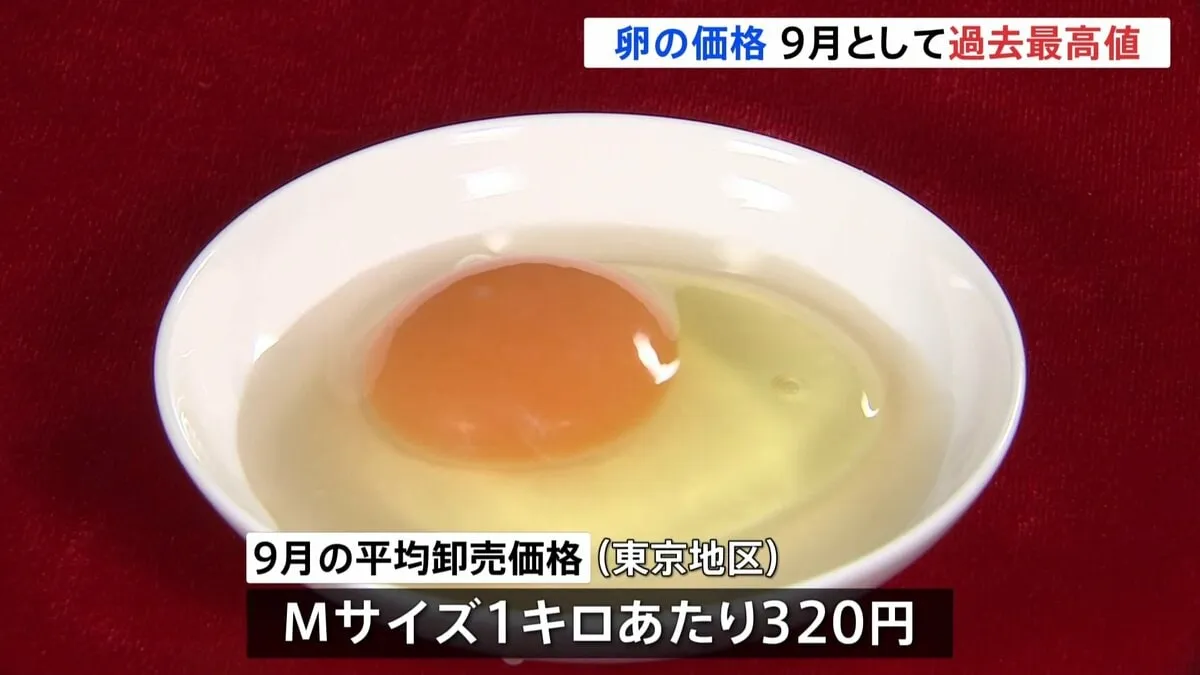 卵の平均価格 9月として過去最高値　Mサイズ1キロあたり320円　鳥インフルエンザの影響