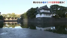 東京都心で「今シーズン一番の寒さ」マイナス2℃を観測　千葉・市原市ではマイナス8.1℃