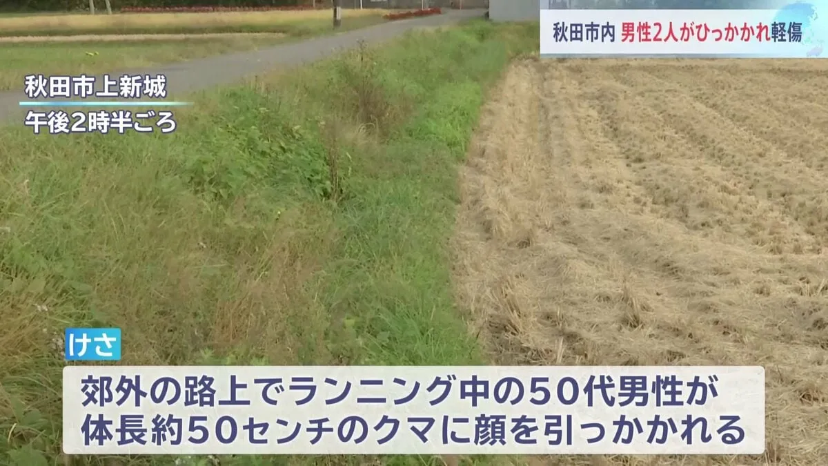 秋田でもクマ被害相次ぐ ランニング中の50代男性襲われ顔にけが 60代男性背中引っかかれ軽傷 秋田市 男性4人を襲い民家に居座ったクマ5日ぶりに捕獲 湯沢市