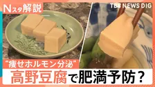 高野豆腐に肥満予防の可能性　新研究で“痩せホルモン”分泌も　ガパオやかりんとうなど煮物以外の活用術【Nスタ解説】