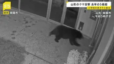 早朝の学校にクマ!カメラが捉えた侵入の一部始終 深刻化するクマ被害に「連絡会議」→「閣僚会議」に格上げ 30日に対応協議へ【news23】