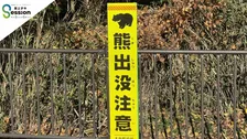 クマが人を襲う理由とは？「食べ物の9割は植物」なのに…専門家が解説　「メガソーラーが影響」説の真偽とは