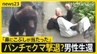 岩手・クマに襲われ男性（85）死亡か…相次ぐ被害 ヒグマをパンチで撃退？恐怖の攻防劇　“梅雨”に向け必要な注意も【news23】