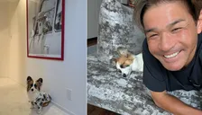 【 いぬ 】照英　愛犬パピコが愛犬テンのアロハシャツを着用「ジャストサイズ！」　ポスターとの2ショットにフォロワー「愛が受け継がれてますね」