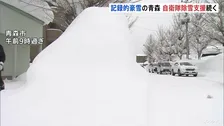 記録的豪雪　自衛隊の除雪支援続く青森県「家がつぶれるところあると」けさも積雪180cmに迫る　除雪中の事故など各地で死者も