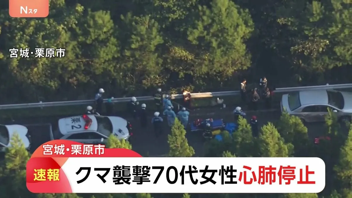【速報】70代女性がクマに襲われ心肺停止　宮城・栗駒山でキノコ採り中に　一緒にいた女性１人と連絡とれず