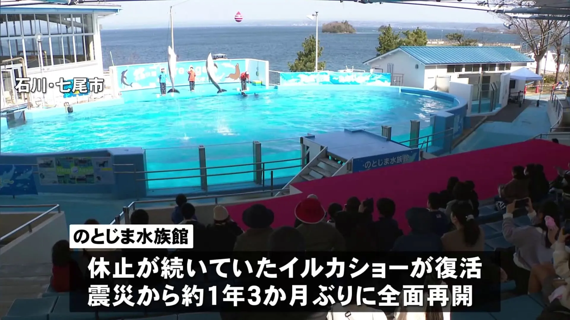 「のとじま水族館」イルカショー復活　能登半島地震から1年3か月ぶりに全面再開　石川・七尾市