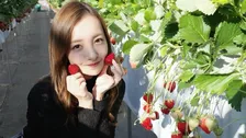 【 板野友美 】　いちごを手に　〝あざと可愛い〟スマイル　いちご狩り満喫ショット公開　「可愛いすぎる！」と絶賛の声