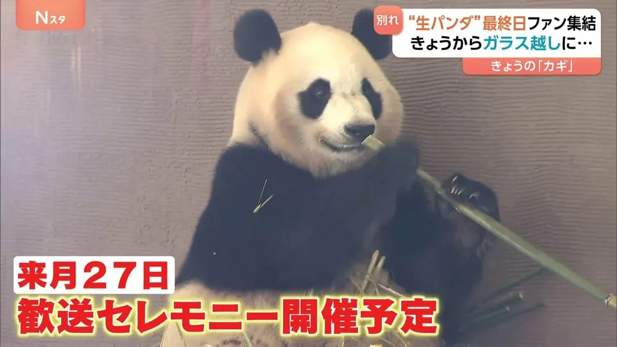 「幸せを祈るばかり」“生パンダ”観覧最終日にファン集結…ガラス越しになっても会いたい存在