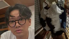 愛猫【 ミキ・亜生 】「寝相が同じ」ハチワレ兄弟の姿にフォロワー悶絶「可愛い」「シンクロ」「兆くんでっかい！」