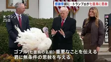 トランプ大統領が「七面鳥に恩赦」 感謝祭の“罪滅ぼし”としてホワイトハウスで恒例行事