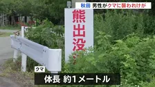 「顎のあたりと手足をかまれ出血」散歩中の男性（20代）クマに襲われけが　命に別状なし　秋田・仙北市