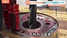 ナフサの代替原料に？アジアの企業が注目する“エタン” イラン情勢背景にエネルギーの中東依存から脱却へ