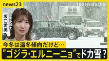 史上最強の「ゴジラ・エルニーニョ」に警戒を…今年続くさまざまな“天候不順”と関係か　今冬は暖冬傾向でも“ドカ雪”に注意【news23】