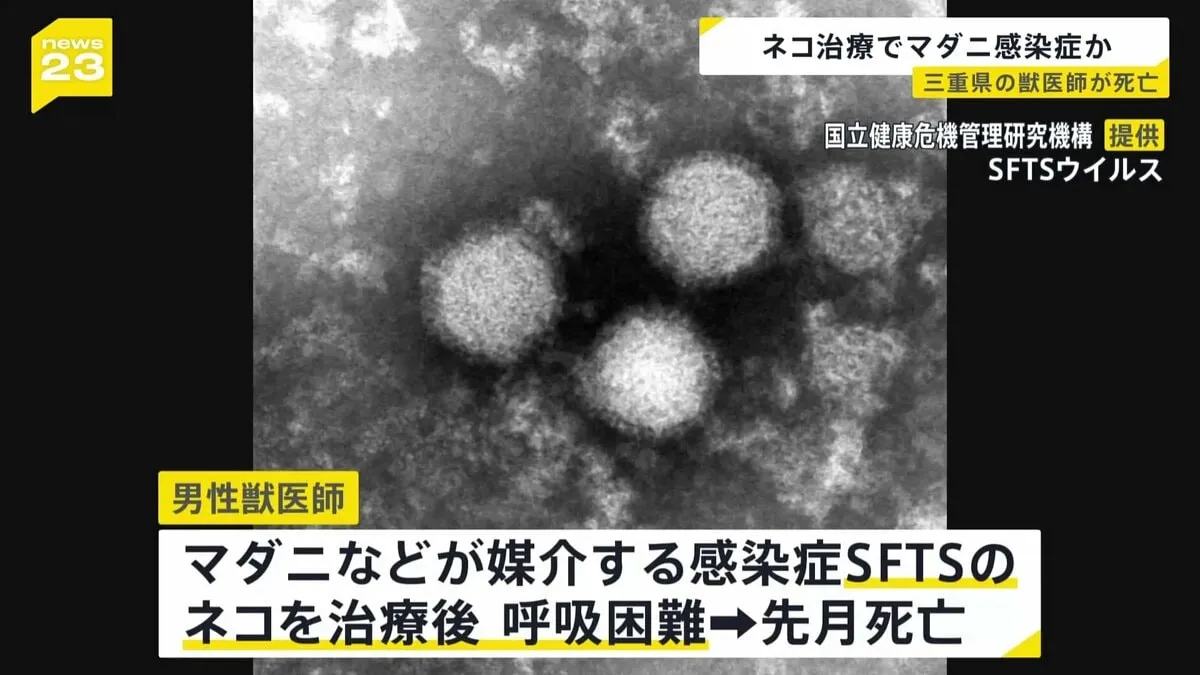 ネコを治療した獣医師が死亡　「マダニ感染症」か　ダニにかまれたネコ・イヌの血液などからヒト感染の可能性
