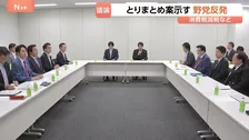 一致点を見いだせるか？ とりまとめ案に野党猛反発　消費税減税・給付付き税額控除めぐる国民会議　財源示されず…次回会議で政府側が案提示へ