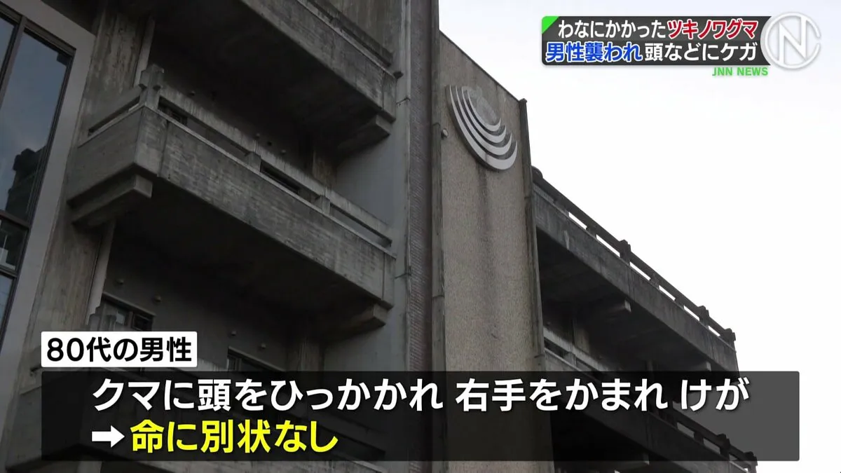 わなにかかったクマに頭をひっかかれ右手をかまれ　80代男性けが　岐阜・飛騨市の山中