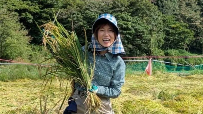 【 磯野貴理子 】「9月の大雨でほとんどの稲が倒れてしまったけど、無事に稲刈りできました」田んぼでの収穫を報告