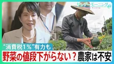 消費税“1%”有力も野菜の値段は下がらない？農家「高くなる可能性」”収入源”に不安の声　資材高騰による価格転嫁も…【サンデーモーニング】