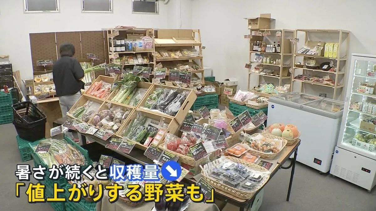 果物・野菜・コメに異変…列島襲う連日の“猛暑”は食卓にも影響？都内では熱中症疑いで100人搬送【news23】