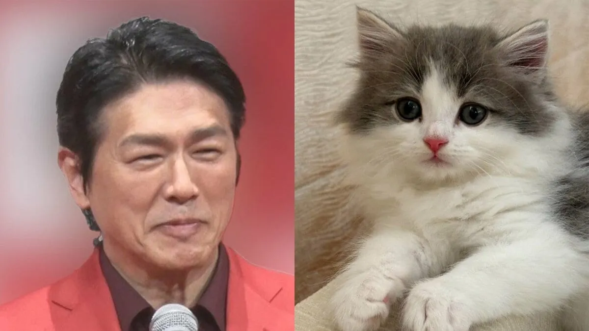 【 ねこ 】　高橋克典さん「ウーウー！シャーシャー合戦」自宅に迎えた新しい子猫ラヴィくんと先住猫ミルリィちゃんの様子を報告