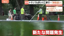 トランプ大統領肝いりの計画で大誤算！？「藻」が大量発生し塗装も剥がれる…リンカーン記念堂の「反射池」の改修工事でトラブル相次ぐ