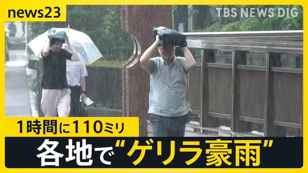 宇都宮市付近で1時間に約110ミリの猛烈な雨　床下・床上浸水も　4日もゲリラ豪雨に注意【news23】