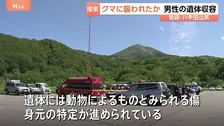 青森県「ツキノワグマ出没特別警報」を初めて発表　八甲田山系でタケノコ採りの男性が行方不明　遺体に動物によるものとみられる傷