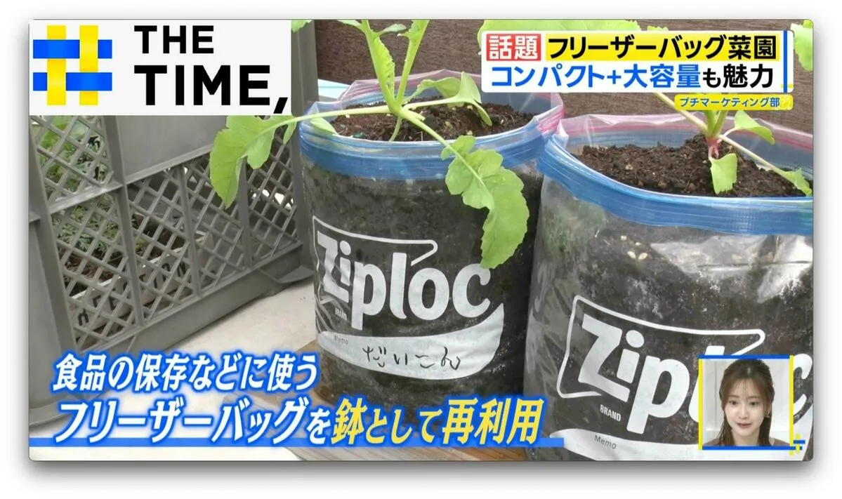 「フリーザーバッグ菜園」で大根やネギも育つ！？発案者直伝のコツとポイントとは？【THE TIME,】 