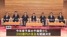 レアアースなど供給ルートを新たに開拓へ　政府が予備費で390億円支出を閣議決定　海外で資源開発する民間企業を支援へ