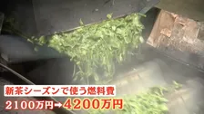 重油価格が半年で倍に…新茶シーズン「待ったなし」現場の悲鳴　高市総理「石油備蓄20日分放出」“目詰まり”解消も指示