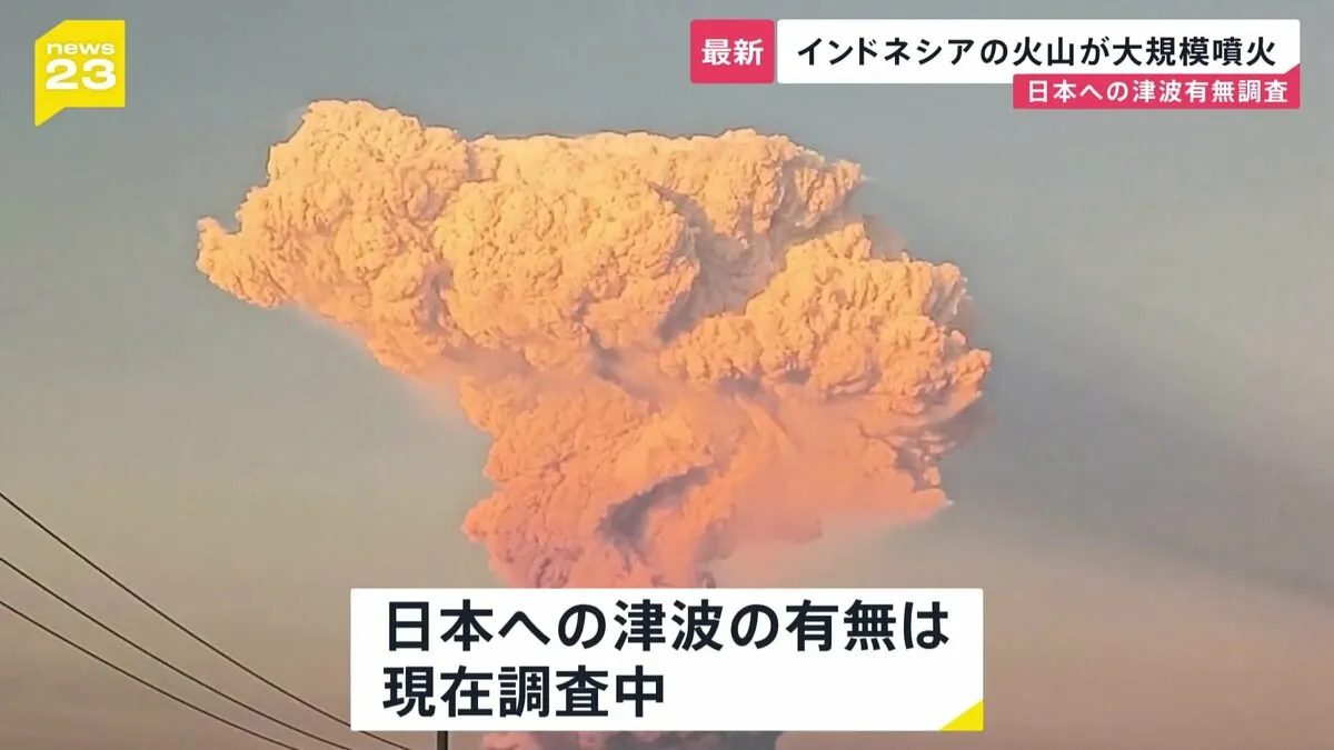インドネシア・レウォトビ火山で大規模噴火　日本への津波有無は調査中
