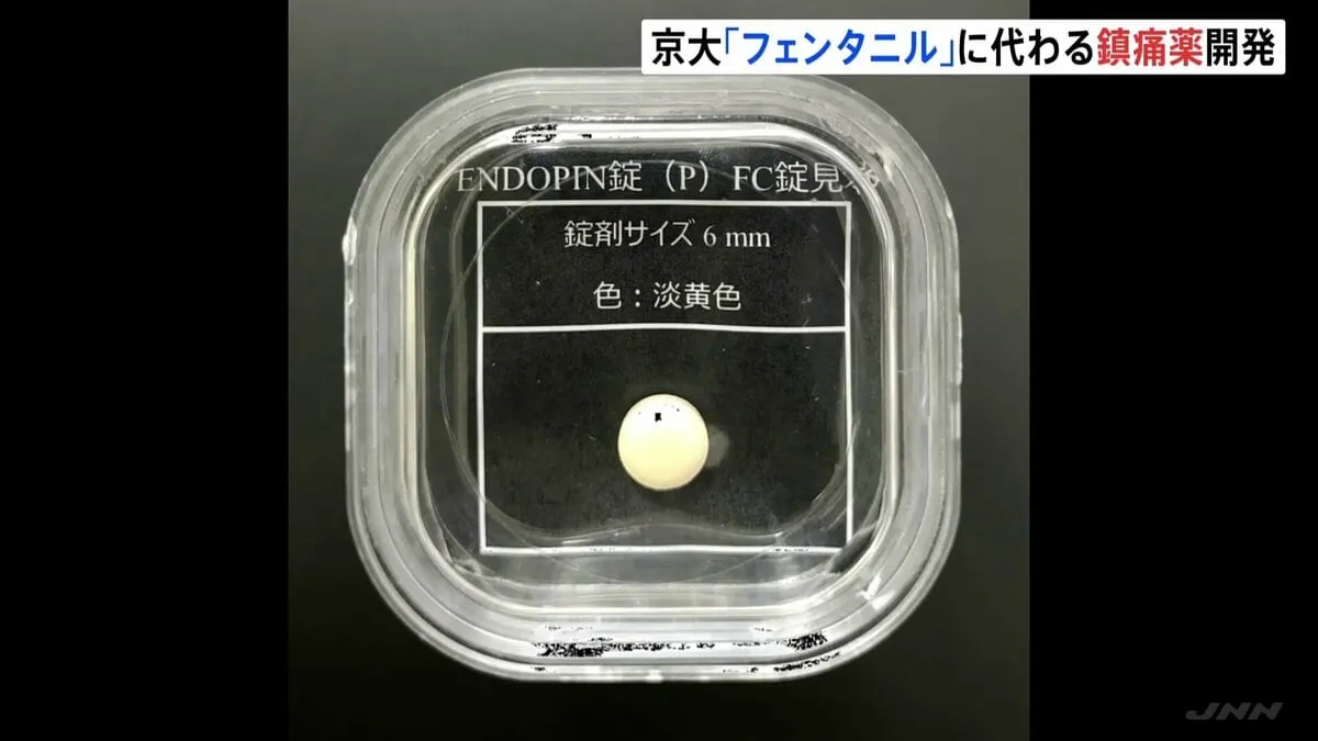 「フェンタニル」に代わる新たな鎮痛薬を開発 依存性などの副作用は確認されず 京都大学の研究チーム